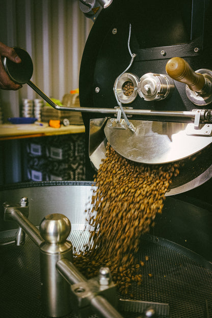 Bondi Blend
